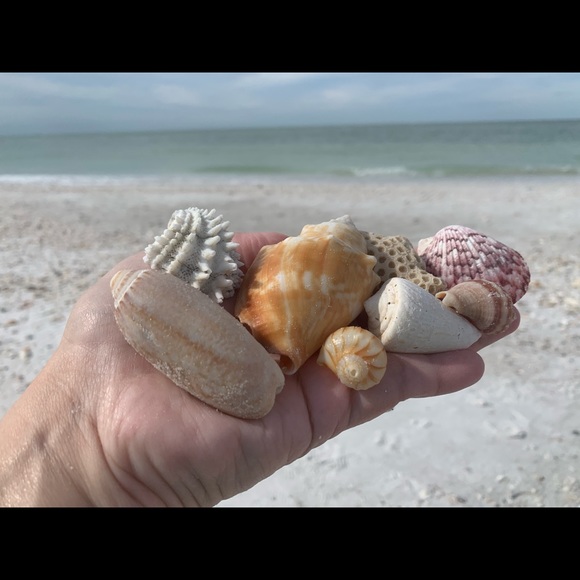 Meet your Posher! π I appreciate your business! - Picture 3 of 3